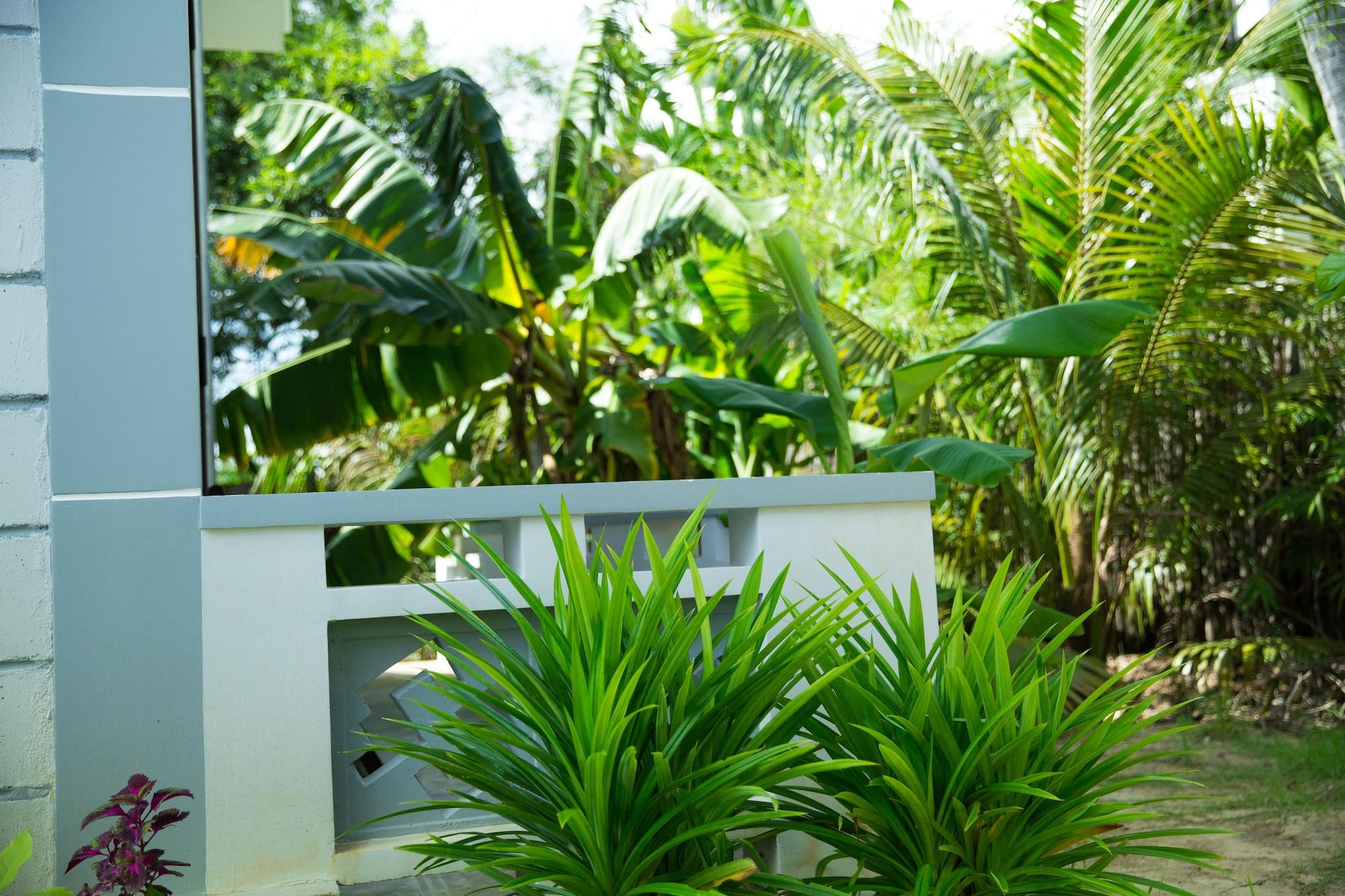 Mr Tho Garden Villas Hoi An Eksteriør bilde